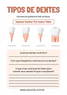 Atividade sobre tipos de dentes  para 2º Ano, 1º Ano de Ciências, Higiene bucal - Material educacional