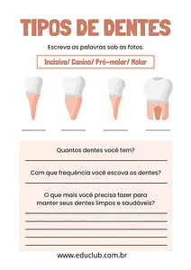 Atividade sobre tipos de dentes