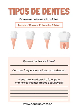 Atividade sobre tipos de dentes  para 2º Ano, 1º Ano de Ciências, Higiene bucal - Material educacional