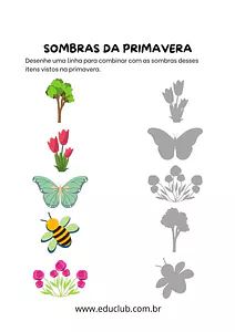 Atividade sombras da primavera