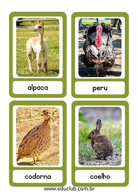 Animais da fazenda - cartões de classificação para Pré-Escola de Língua Portuguesa, Ciências, Seres Vivos, Vocabulário - M...