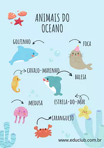 Animais do oceano