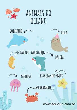 Animais do oceano para Creche, Pré-Escola de Língua Portuguesa, Recursos Educativos, Ciências, Seres Vivos, Vocabulário - ...