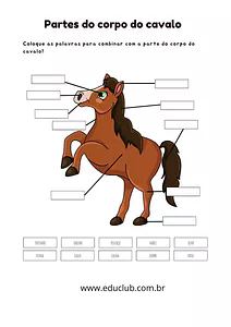 Partes de um cavalo para completar