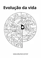 Atividade sobre evolução