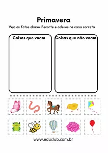 Voa ou não voa?