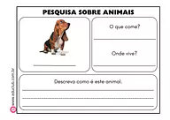 Pesquisa sobre animais de estimação Pesquisa sobre animais de estimação para 5º Ano, 4º Ano, 3º Ano, 2º Ano, 1º Ano de Recursos Educativos, Ciências, Seres Vi...