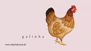 Lâminas sobre o ciclo de vida da galinha