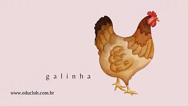Lâminas sobre o ciclo de vida da galinha para 3º Ano, 2º Ano de Recursos Educativos, Ciências, Seres Vivos, Ciclos de vida...