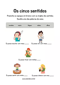 Atividade órgãos dos sentidos