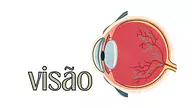 Cartaz do sentido da visão Cartaz do sentido da visão para 5º Ano, 4º Ano, 3º Ano, 2º Ano, 1º Ano de Recursos Educativos, Ciências, Cinco sentidos - ...