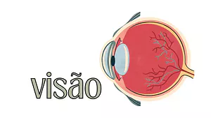 Cartaz do sentido da visão