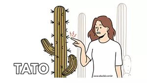 Cartaz do sentido do tato