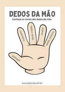 Nome dos dedos da mão completo