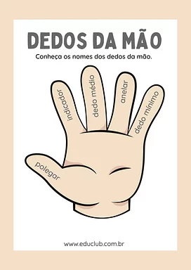 Nome dos dedos da mão completo para 2º Ano, 1º Ano de Recursos Educativos, Ciências, Corpo humano - Material educacional