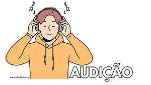 Cartas do sentido da audição
