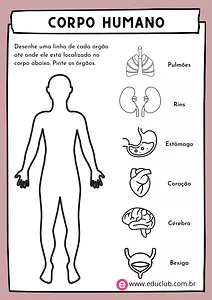Atividade sobre corpo humano para 3 ano