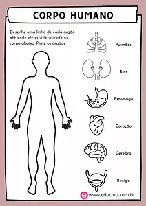 Atividade sobre corpo humano para 3 ano