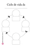 Molde ciclo da vida Molde ciclo da vida para 3º Ano, 2º Ano, 1º Ano de Ciências, Seres Vivos, Tipos de folhas, Ciclos de vida - Material educa...