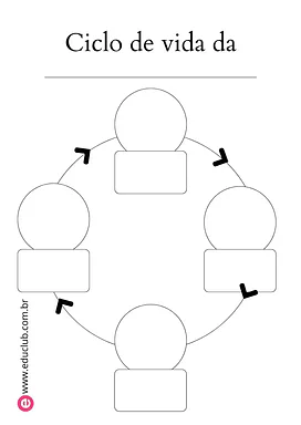 Molde ciclo da vida Molde ciclo da vida para 3º Ano, 2º Ano, 1º Ano de Ciências, Seres Vivos, Tipos de folhas, Ciclos de vida - Material educa...
