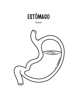 Estômago para colorir Estômago para colorir para 4º Ano, 3º Ano de Ciências, Corpo humano - Material educacional