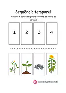 Atividade de sequência temporal da planta Atividade de sequência temporal da planta para 1º Ano de Ciências, Plantas - Material educacional