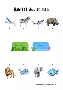 Habitat dos animais: aquático ou terrestre?