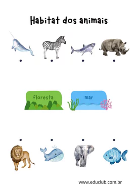 Habitat dos animais: aquático ou terrestre? Habitat dos animais: aquático ou terrestre? para 2º Ano, 1º Ano de Ciências, Seres Vivos - Material educacional