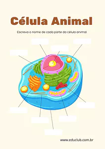 Célula animal para completar