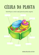Atividade sobre célula da planta para 4º Ano, 3º Ano de Ciências, Plantas, Célula - Material educacional