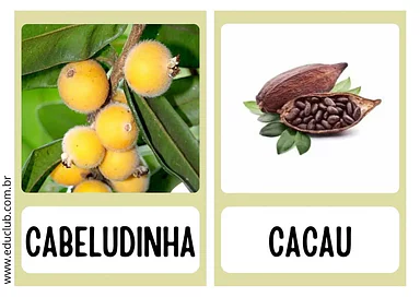 Fruta com C para Pré-Escola de Língua Portuguesa, Vocabulário - Material educacional