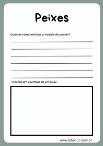 Atividade classificação dos animais