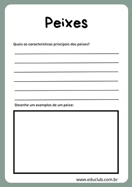 Atividade classificação dos animais Atividade classificação dos animais para 5º Ano, 4º Ano, 3º Ano de Ciências, Seres Vivos - Material educacional