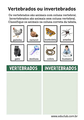 É vertebrado ou invertebrado? É vertebrado ou invertebrado? para 2º Ano, 1º Ano de Ciências, Seres Vivos - Material educacional