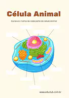 Atividade de célula animal para completar Atividade de célula animal para completar para 5º Ano, 4º Ano, 3º Ano de Ciências, Seres Vivos - Material educacional