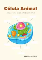 Atividade de célula animal para completar
