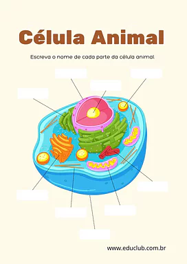 Atividade de célula animal para completar Atividade de célula animal para completar para 5º Ano, 4º Ano, 3º Ano de Ciências, Seres Vivos - Material educacional