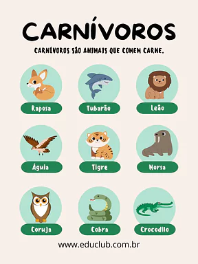 Cartaz dos animais carnívoros Cartaz dos animais carnívoros para 2º Ano, 1º Ano de Ciências, Seres Vivos - Material educacional