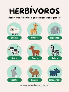 Animais herbívoros