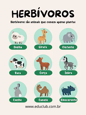Animais herbívoros Animais herbívoros para 2º Ano, 1º Ano de Ciências, Seres Vivos - Material educacional