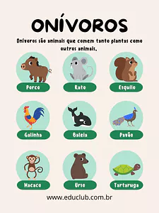 Cartaz dos animais onívoros