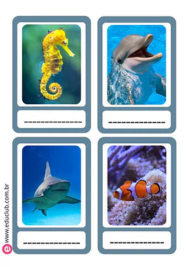 Atividade de animais marinhos para completar Atividade de animais marinhos para completar para 2º Ano, 1º Ano de Ciências, Seres Vivos - Material educacional