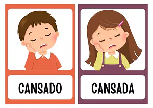 Sentimentos e emoções
