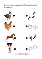 Pegadas dos animais
