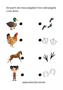 Pegadas dos animais
