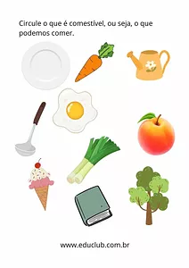 O que podemos comer?