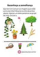Reconheça a semelhança para Pré-Escola de Língua Portuguesa, Pré-escrita - Material educacional