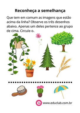 Reconheça a semelhança para Pré-Escola de Língua Portuguesa, Pré-escrita - Material educacional