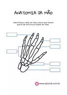 Ossos da mão para completar para 4º Ano, 3º Ano, 2º Ano de Ciências, Corpo humano - Material educacional
