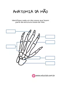 Ossos da mão para completar